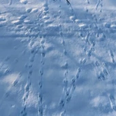 0a828edceb0168f5b1ed53215e0f9f16