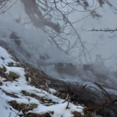 0a8ba428d6e91d2468e751be57e7ef4f