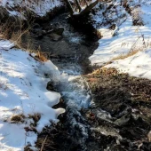 111635537a48fcb7878c94580e41c8cf