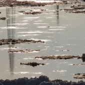 1f79004125c9b95d79e64a12eef72abf