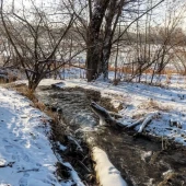 2c1f16c71b1508c5750075975956eb59