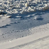 380eb612f2a70eb4e0c52864bef3779a