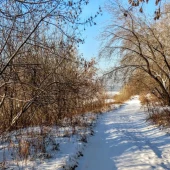 471b0b754202b4b200a7d29569fe4933