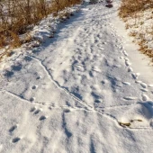 6cd1c8c27784a812ed44f029f7acce96