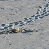 710b2e969c39db57cba4579059c389dd