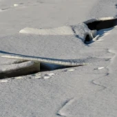 78c523242ca7cee4eca1677e72b714ac