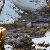 8d99a54faa800c840cc1247c03788f39