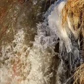 8f99dd30448fab28adfb2ed62b25369b