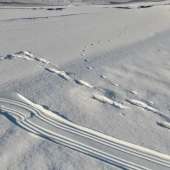 93310e6cb469924f75da307c07d14c16