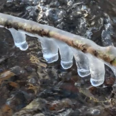 a18e27cf98c54e2aba0f83a6d70a9aa3