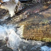 a5da283c979756183a1fa8a3f250d80c