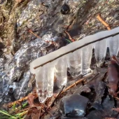 a9aaba0680b9d8bb8d62d25468990635