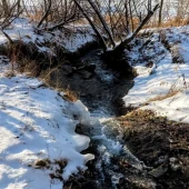 acaa33e5cdc2f3db6d5698b702368ee2