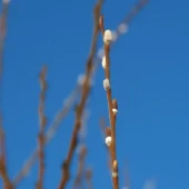 bf15955f072258f262d6a63f3306c629