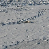 c58c084bdd75ea123e667262aeeb14bb