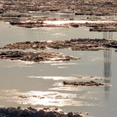 c6da514db2472b1d41efc6970a21ff3d