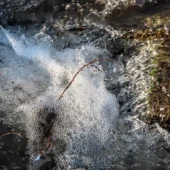 c9ac0b4fc1838a58670c445c5bf2f6cf