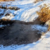 f18457fabdd331a047be5836d8d90508