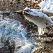 f6b50964e6b3ddafd8ad45e87b863cc1