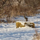 fecb61415b5ce60a4ec4f0df941b688a