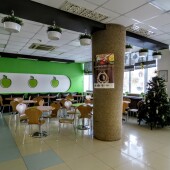13a6770e4fff321c8dde4b5c2aeb4baa