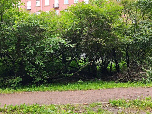 ю67а