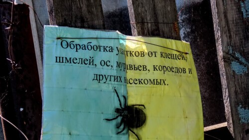 81a607ac30e2845e43f4257bb74ee308.jpg