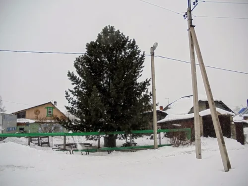 511da6dd52362ee150df260296dced09.webp