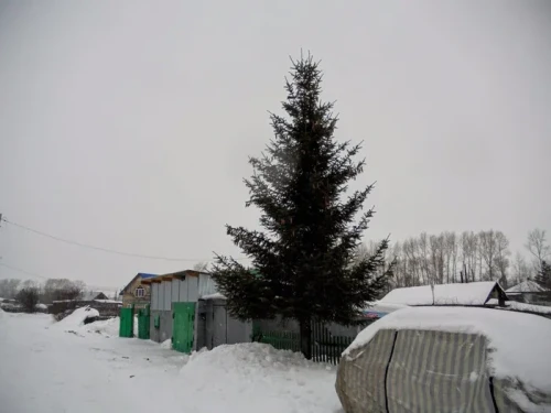 a866d46b1c40c7ebe5e186790f5977fa.webp