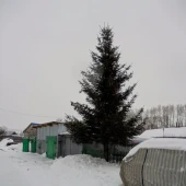 a866d46b1c40c7ebe5e186790f5977fa