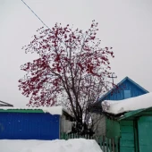be8121f87fc2035c35d2b758018b5bb0