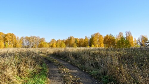 15be5568ad54d1d7b949ffa06a677af8.jpg