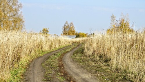 202bf4e08c6568023c4a571472e2322c.jpg