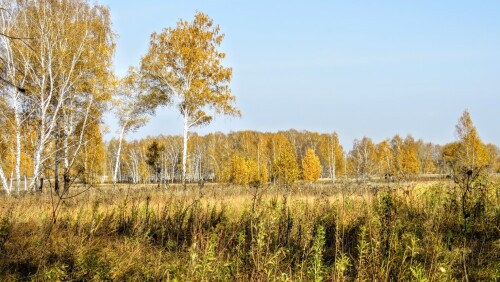 4ac05d15aaf8f43231da6359985c5656.jpg