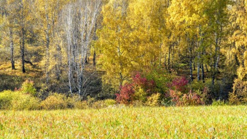 636a976ca6a91b799316ae13b60da198.jpg