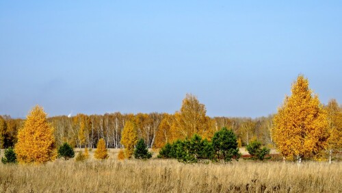 7c4a36254ff556cf2efbd5bfcdf0d724.jpg