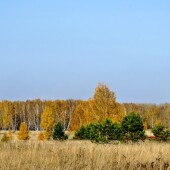 7c4a36254ff556cf2efbd5bfcdf0d724