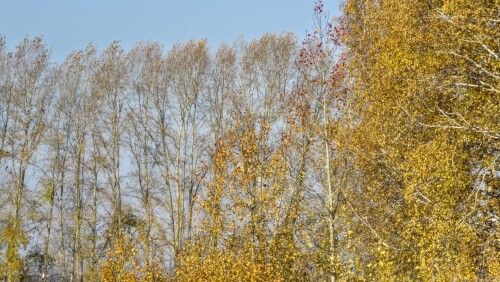 7e200d83fd9fe6f182fd6d2b58c72f01.jpg