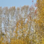 7e200d83fd9fe6f182fd6d2b58c72f01