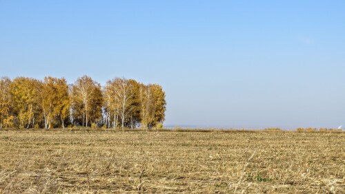 a092ceaabd4201d5118f6b5eefa4e5a7.jpg