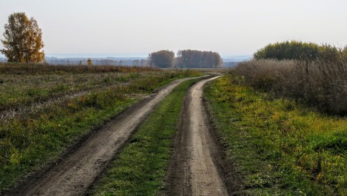 a0ad54429fac3f086a4b6f5d7a7d29f5.jpg