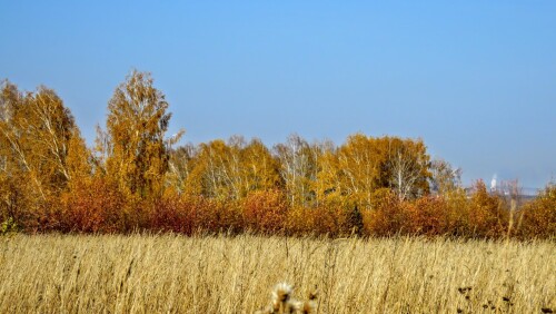 ba8d7e733a518ffe9423f6e48b9488f1.jpg