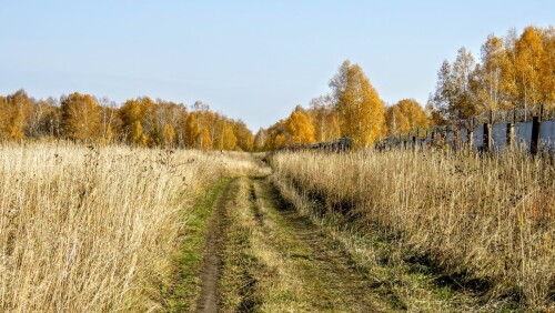 c15f9f0abab6a4ad25916cff9922cb4a.jpg