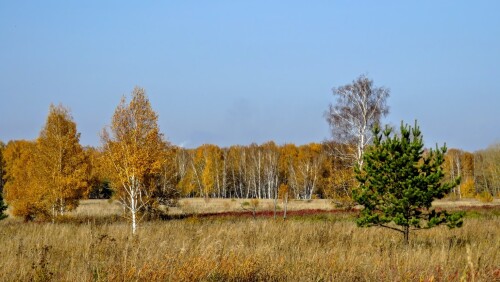 d15aef4ae10530c07b2aad0d5f44f339.jpg
