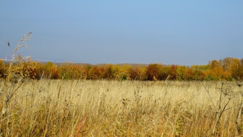 d8370ac63df20f2e0899a671ceda9152.jpg