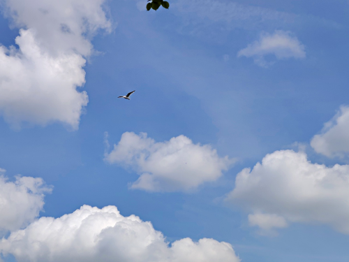 d0ed3190b10d3398b1bfcc0c505f17a2.png