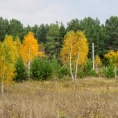 51d3428cfca95c84849b2e7612eeb991