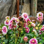 5b829d172301ab718eb25f734cad4b64
