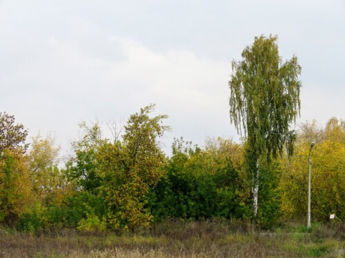 7f0198af5a226d8835db9245a8c55668.jpg