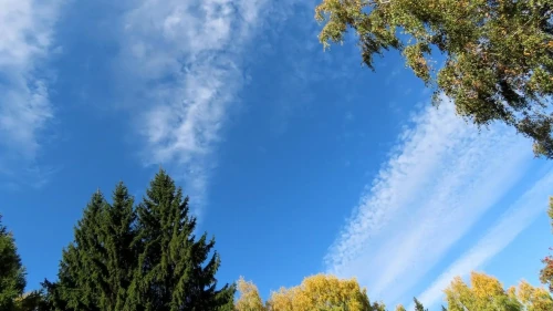a8951c2d5128588e83432ec2078d56be.webp